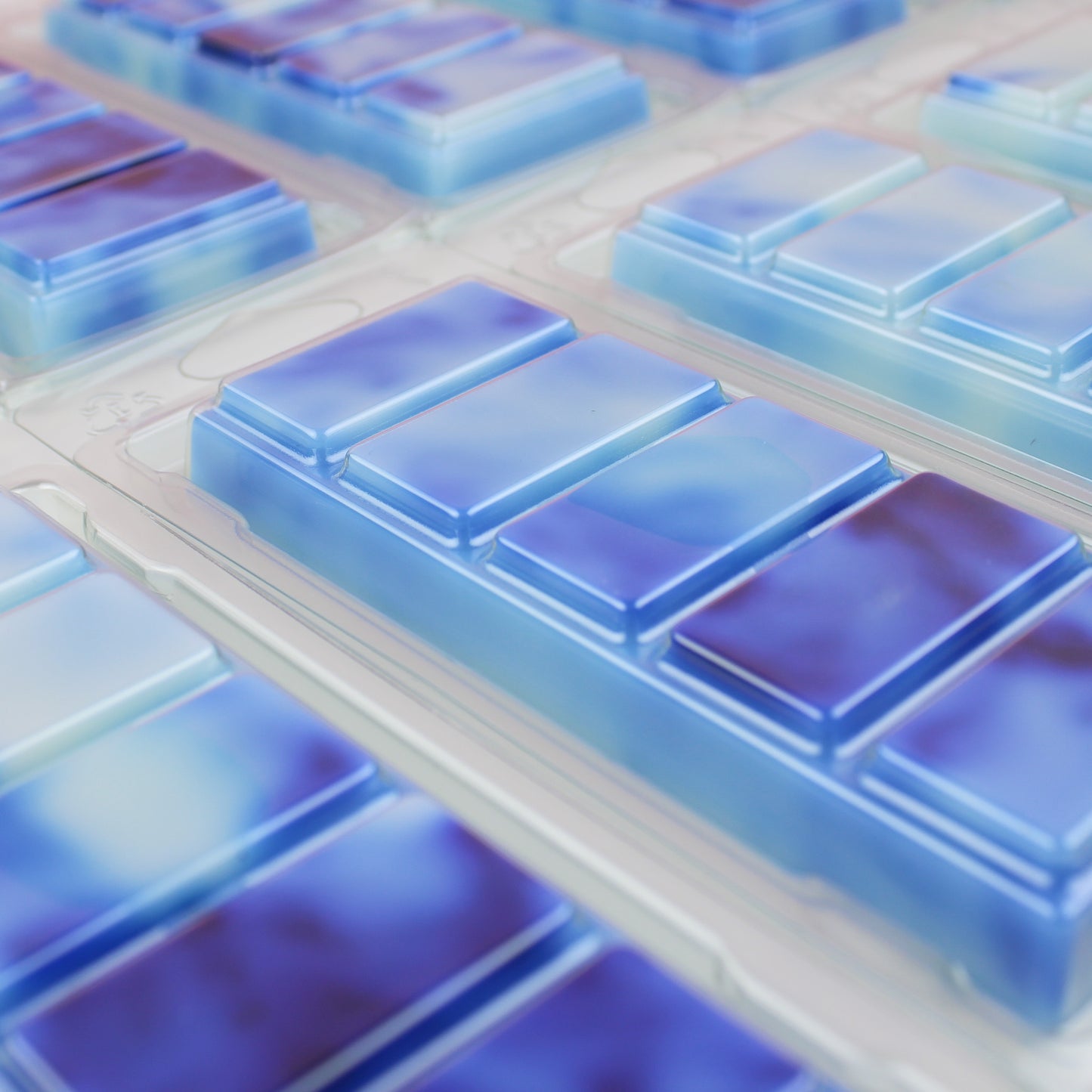 Flashy Bicarb Wax Melt