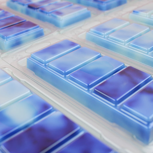 Flashy Bicarb Wax Melt