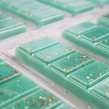 Salty Sage Wax Melt